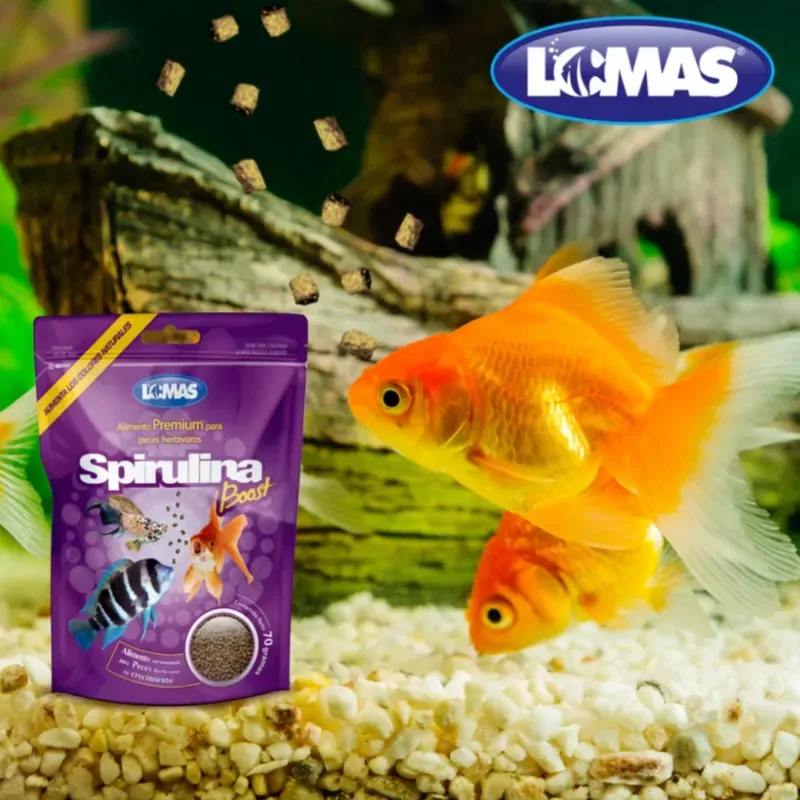 Spirulina Boost para peces