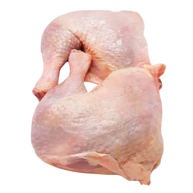 Pollo