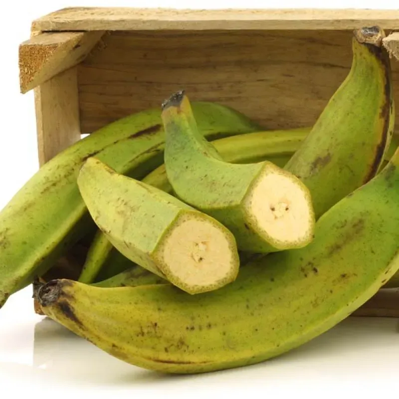 Platano Macho