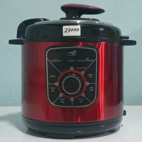 Olla Reina 6L