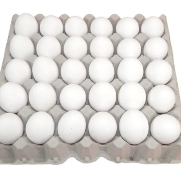 Huevos