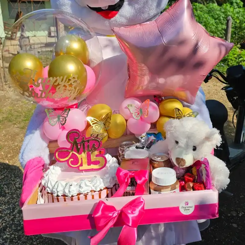 Sueño de Quinceañera