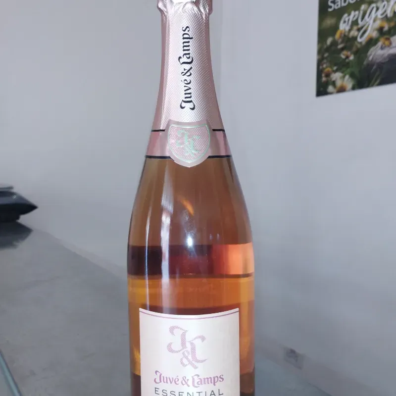 Juvé & Camps Essential Pinot Noir