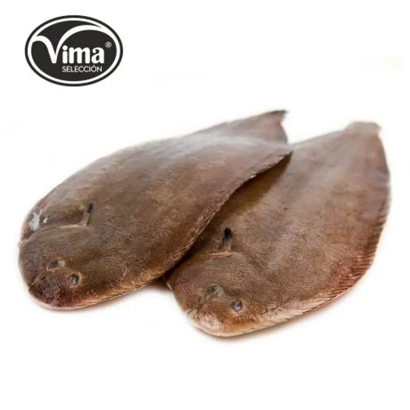 LENGUADO P ENTERO APROX EVS, 250-400 GR, IVP GOURMET, C/8 KG 1000876 PRECIO 14.53