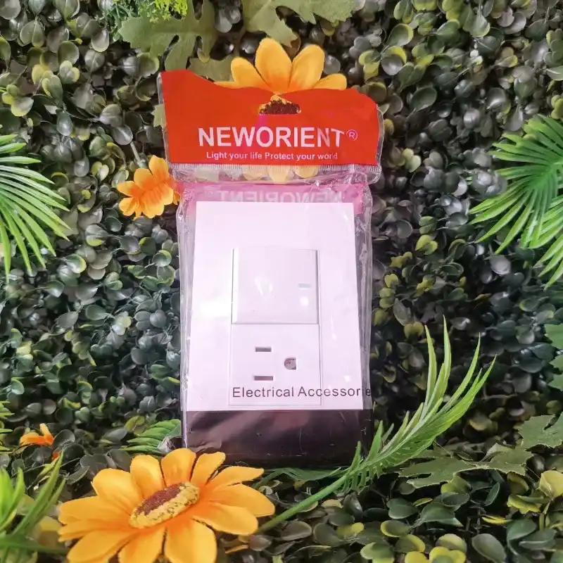 Toma corriente + interruptor