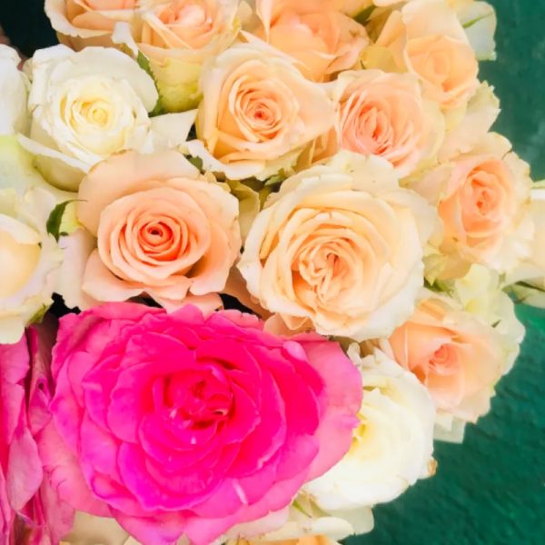 Rosas d colores