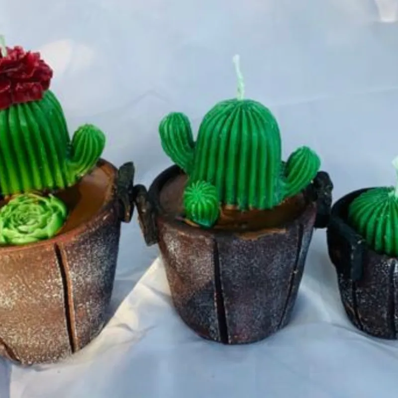 Set de cactus