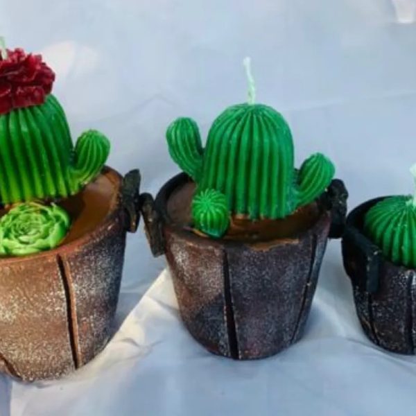 Set de cactus