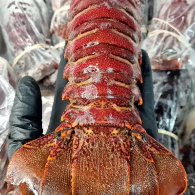 Cola de langosta (2lb )