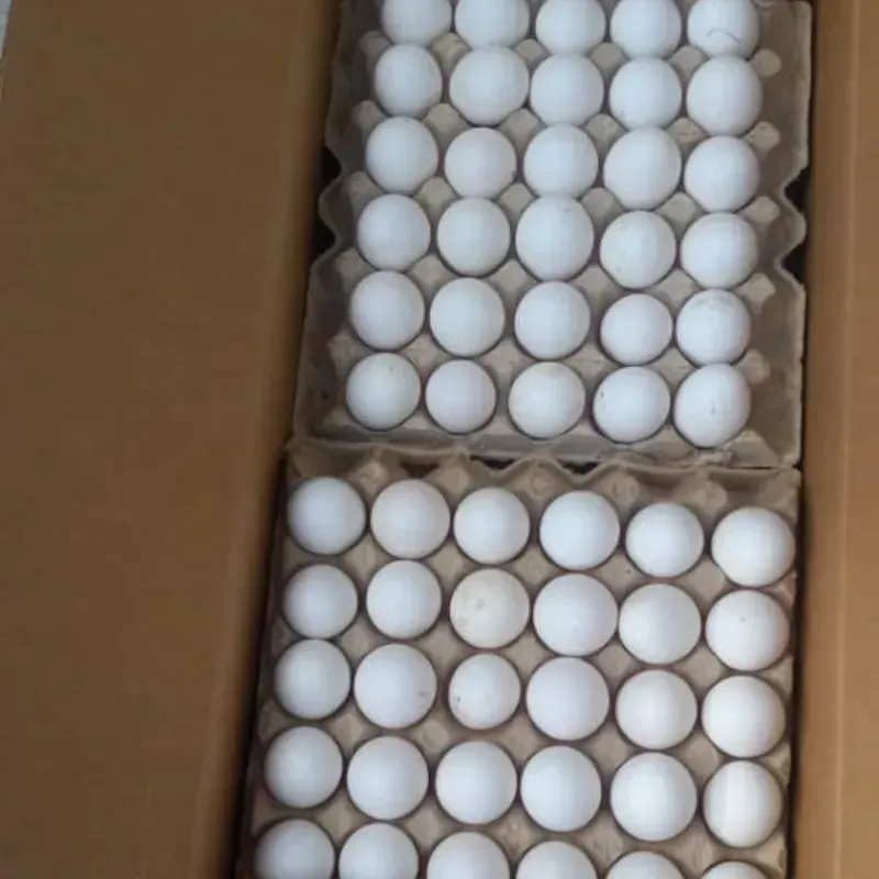 Carton de Huevos