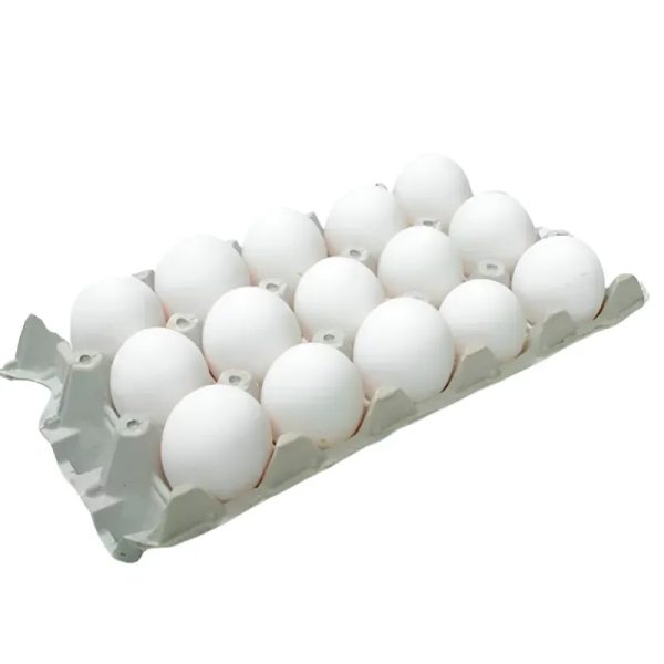 Huevos