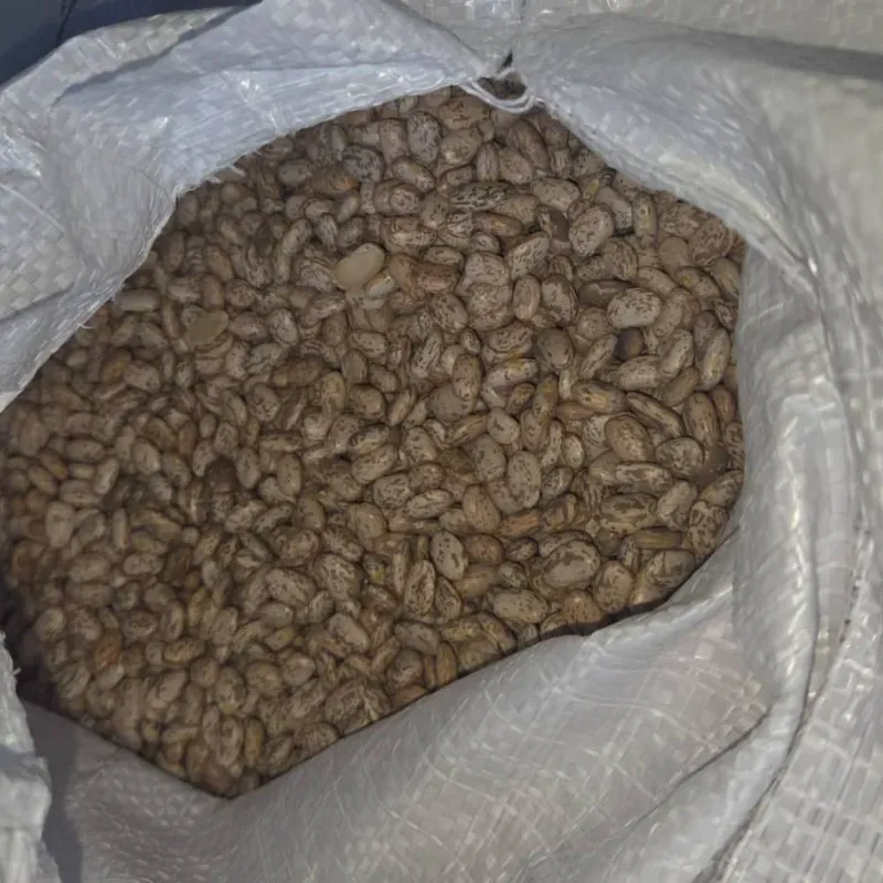 2Kg Frijol Bayo, GRANO GRANDE. MUY BUENO