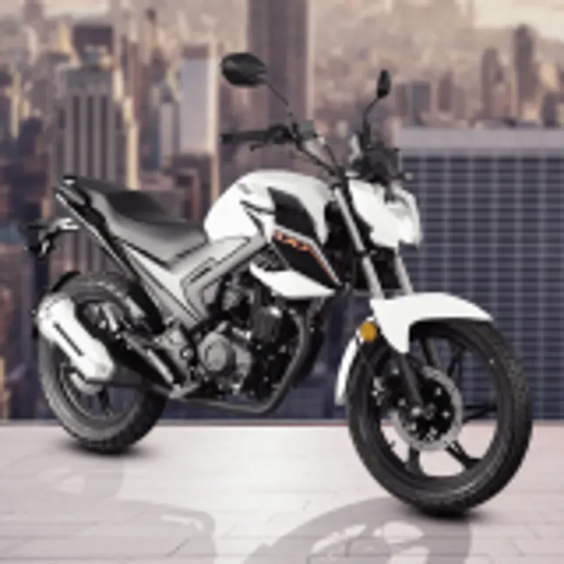 Moto LIFAN 250CC LF250-10E