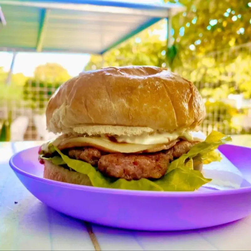 Hamburguesa AL NIDO