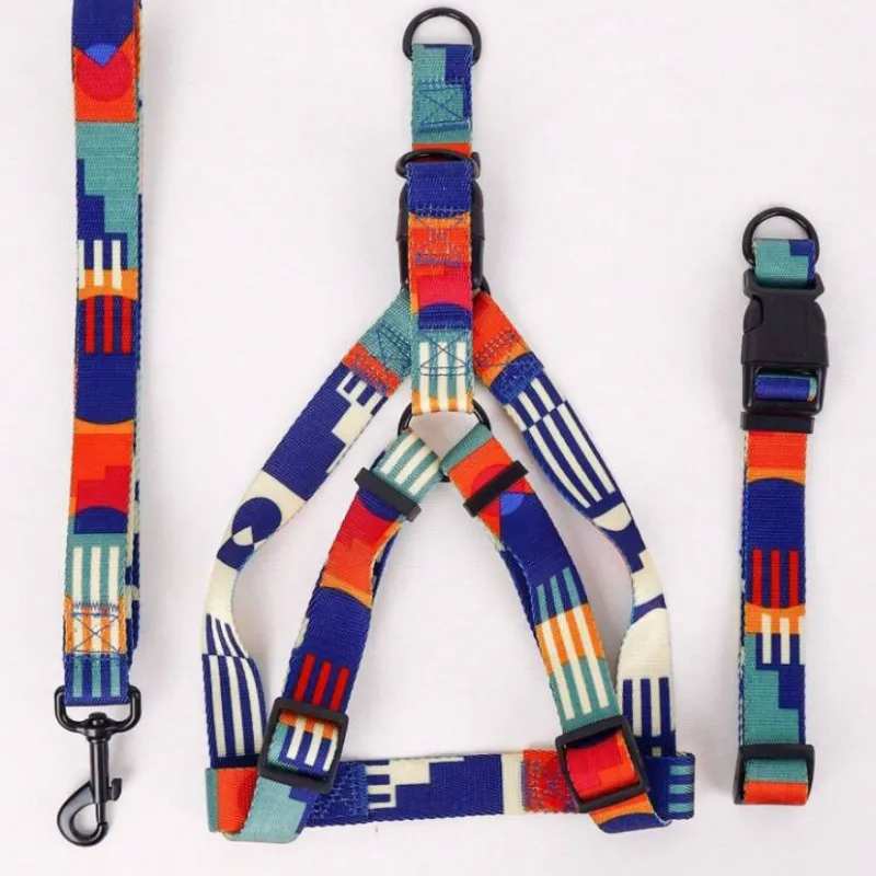 Conjunto de arnés, correa y collar