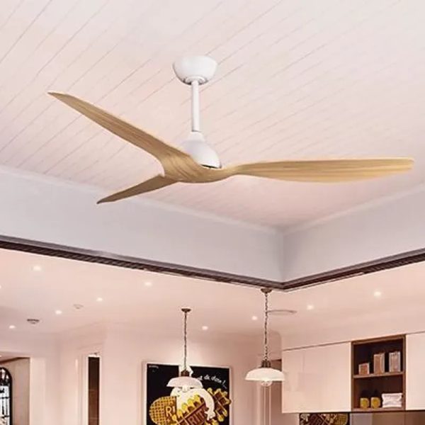 Ventilador de techo