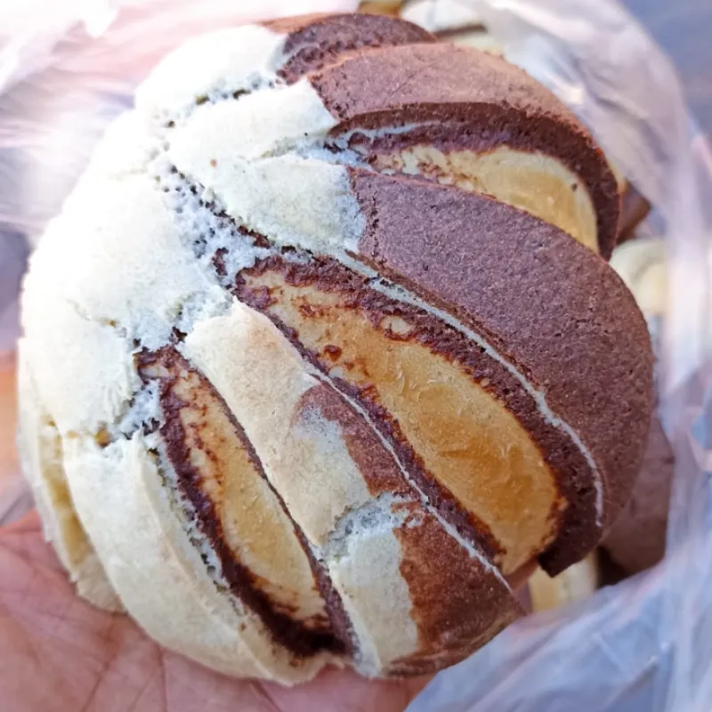 Conchas mexicanas