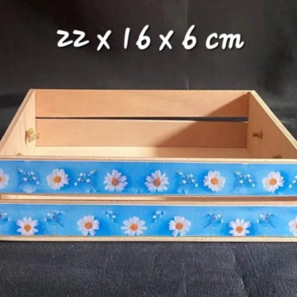 Caja Organizadora 2