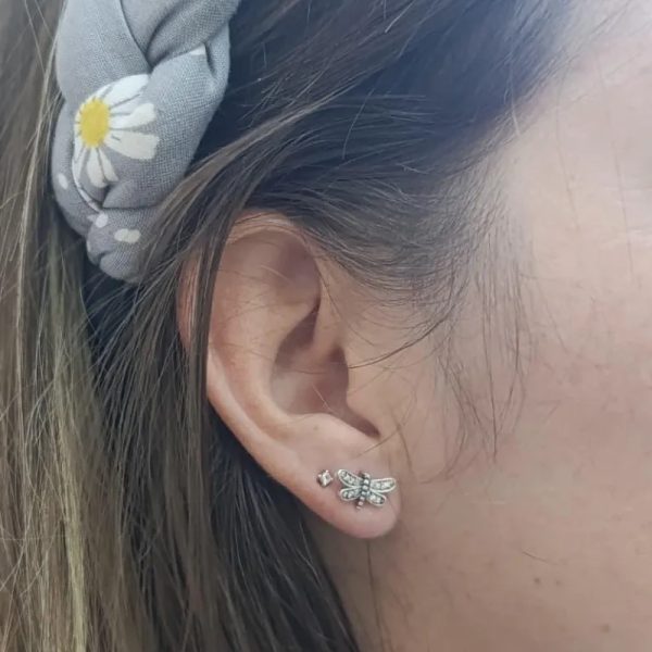 Aretes de Libélula