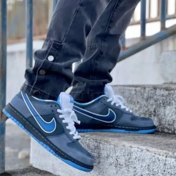 Nike variada