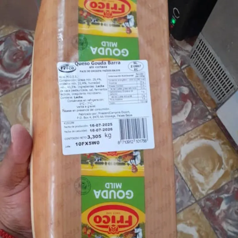 Queso gouda holandés