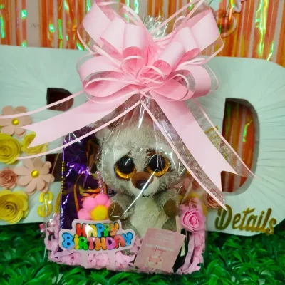 Bolsa de regalo con peluche