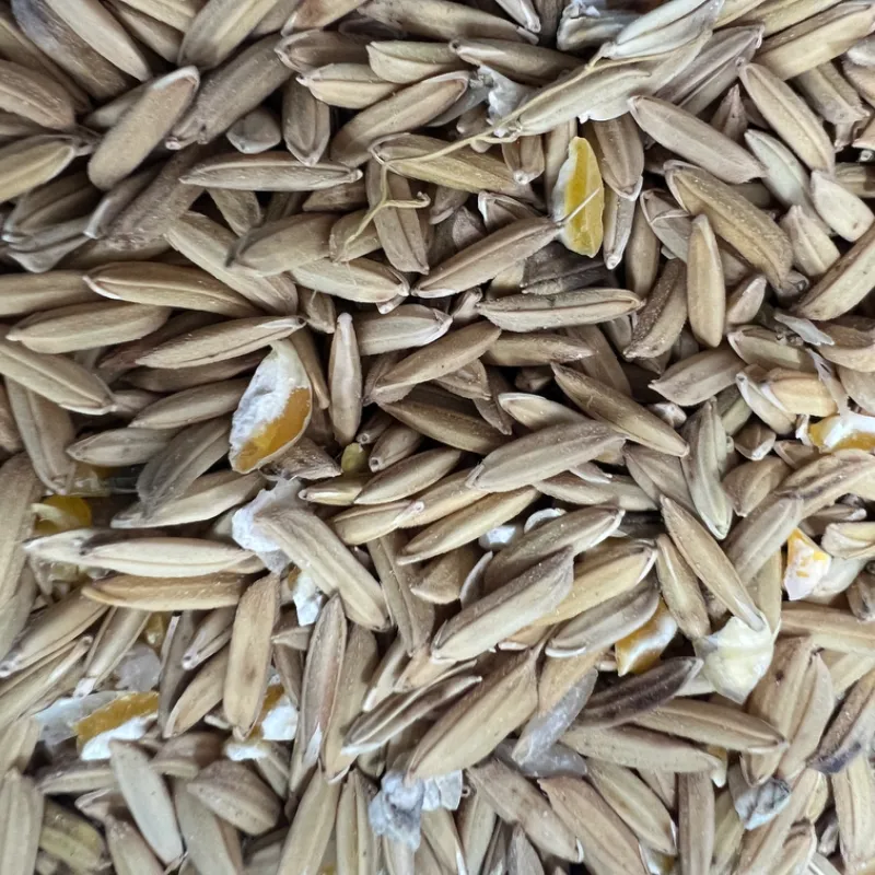 Mezcla para Psisptasida