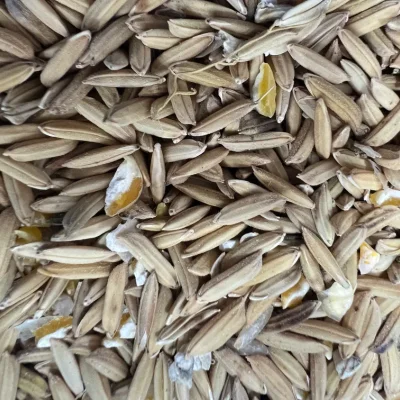 Mezcla para Psisptasida