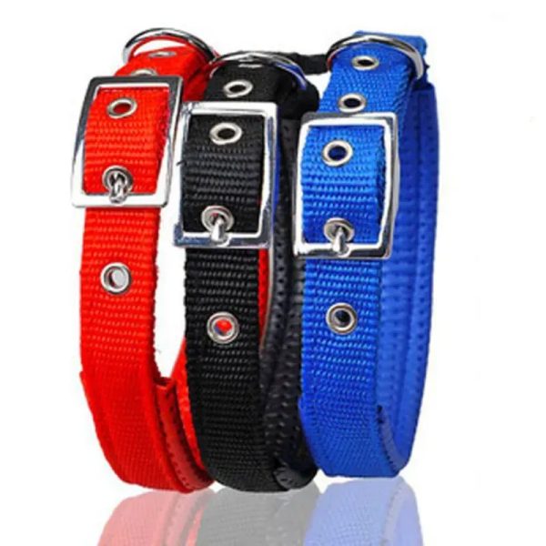 61005 Collar para perritos pequeños