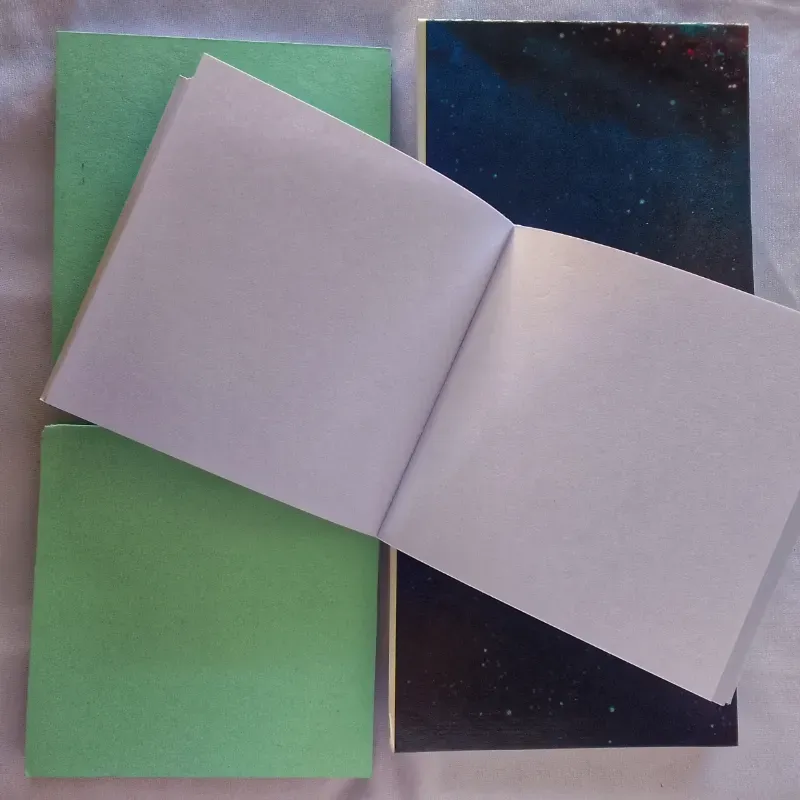 Agendas pequeñas de hojas lisas