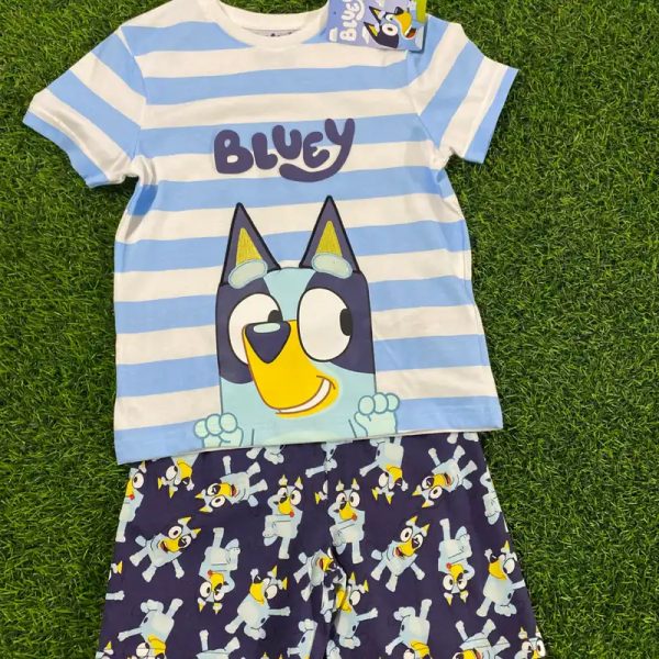 Conjunto de bluey