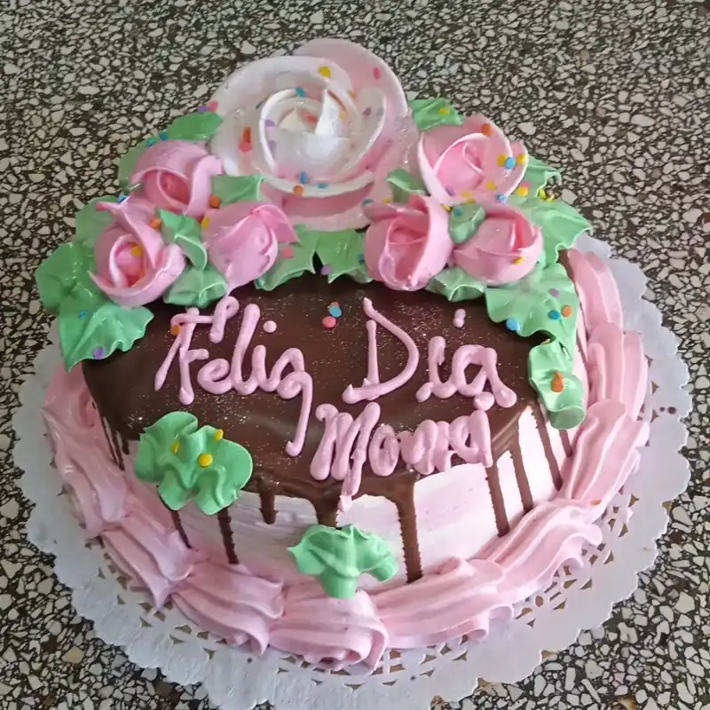 Sencillos con cobertura de chocolate