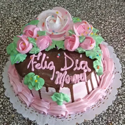 Sencillos con cobertura de chocolate