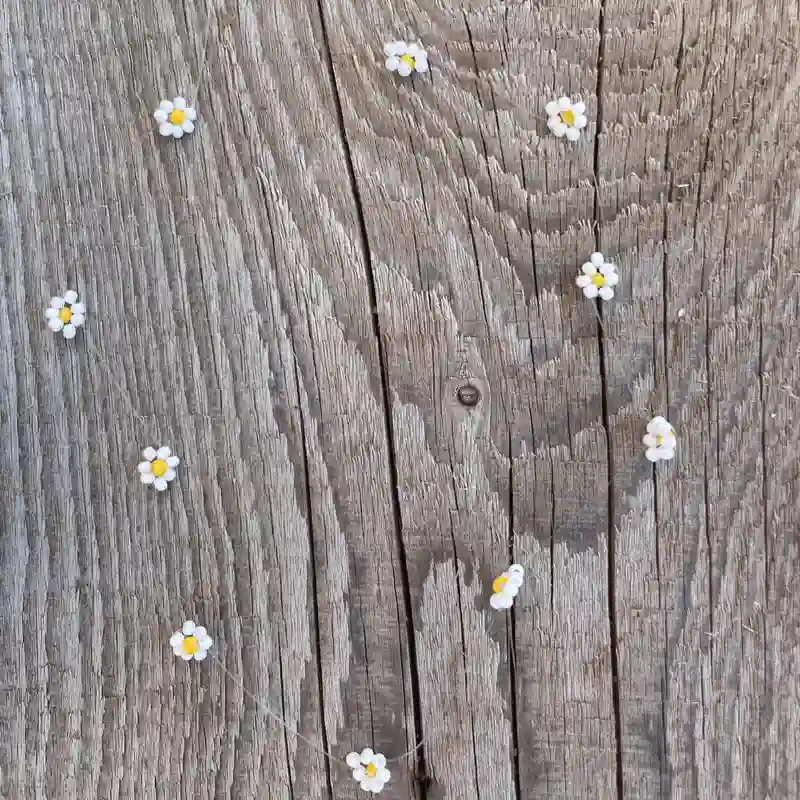 Fantasmita de margaritas