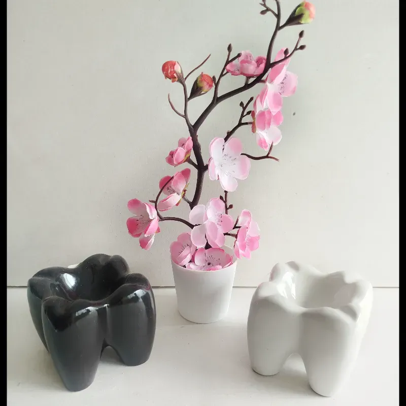 Muela Cenicero ( unidad)