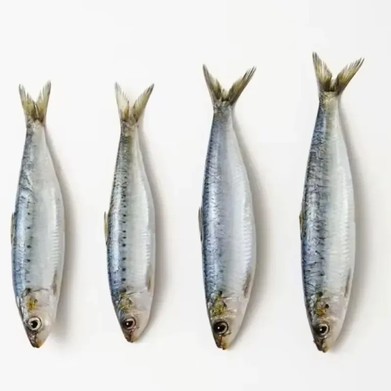 SARDINA C/20 KG 1000295 PRECIO 4.43