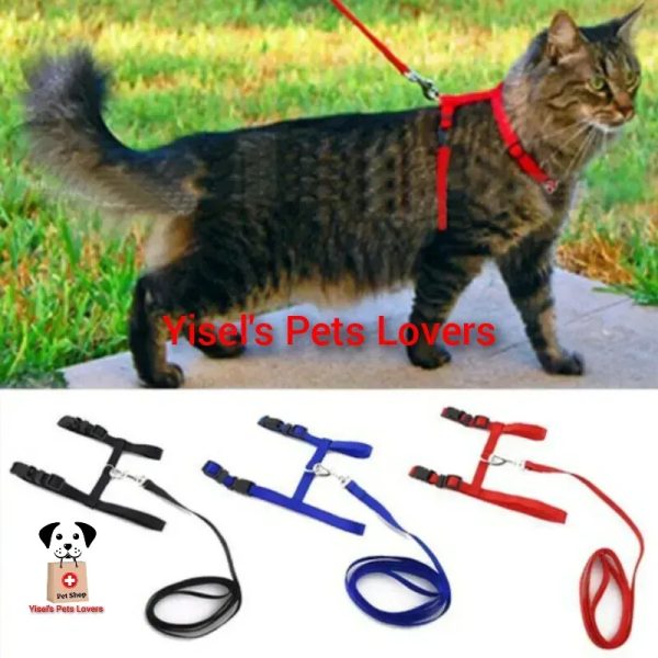 Perchera y correa para gatos