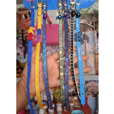Collares chiquitos para perros