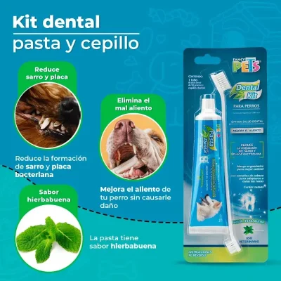 KIT DENTAL