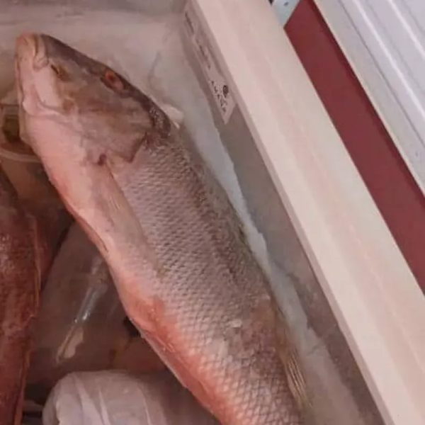Pescado entero
