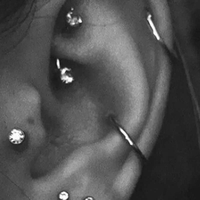 Curated Ear-Diseño completo