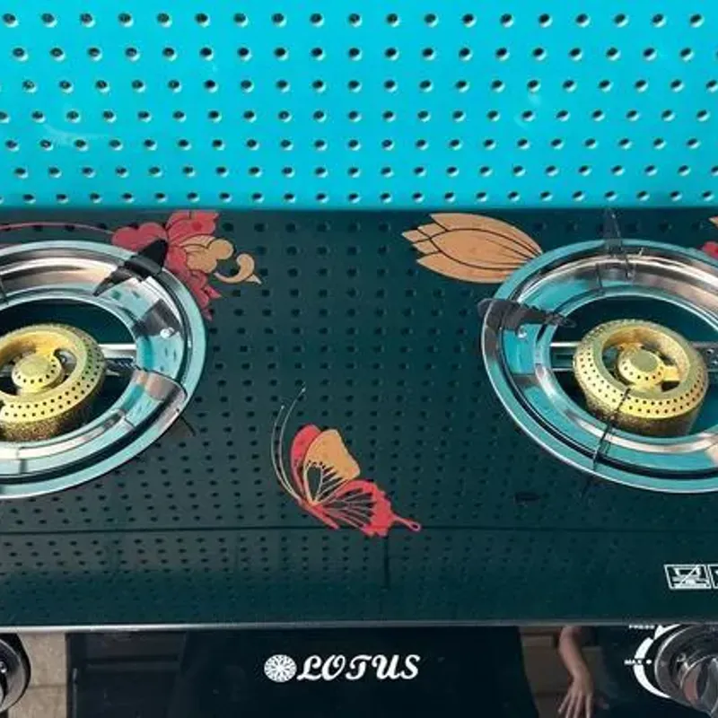 Estufa o cocina de 2 hornillas. Marca Lotus