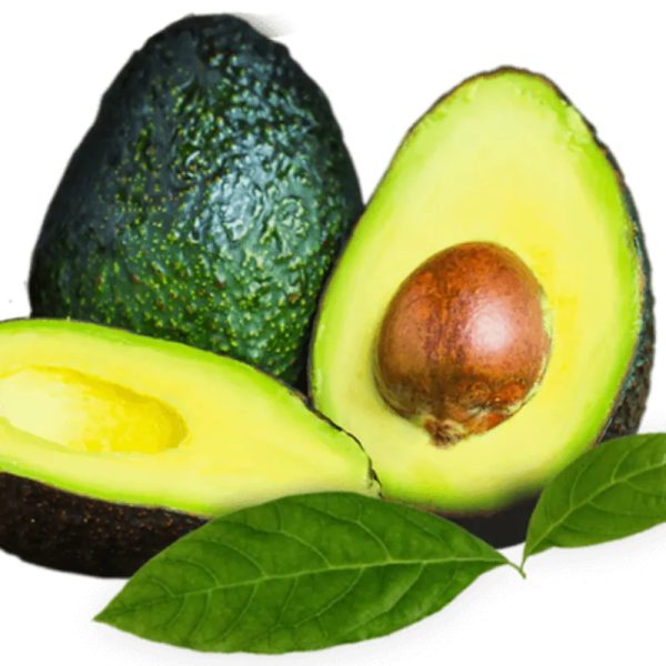 Aguacate (unidad)