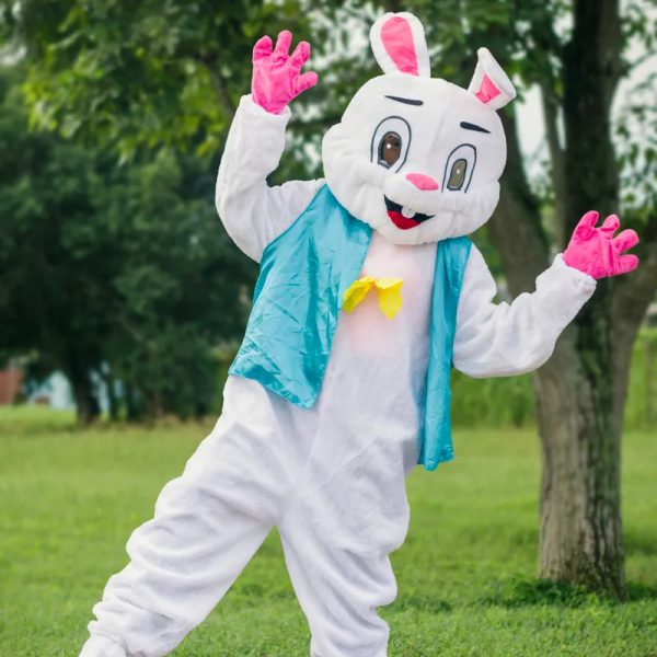 Bunny 