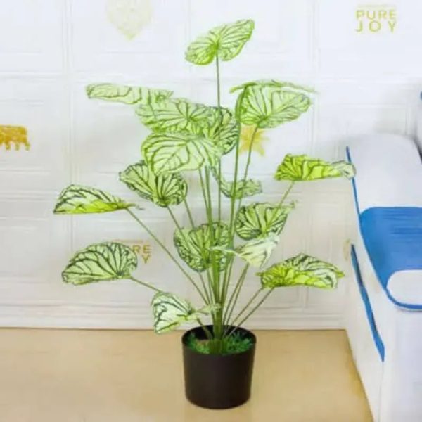 Planta decorativa 62 cm de altura