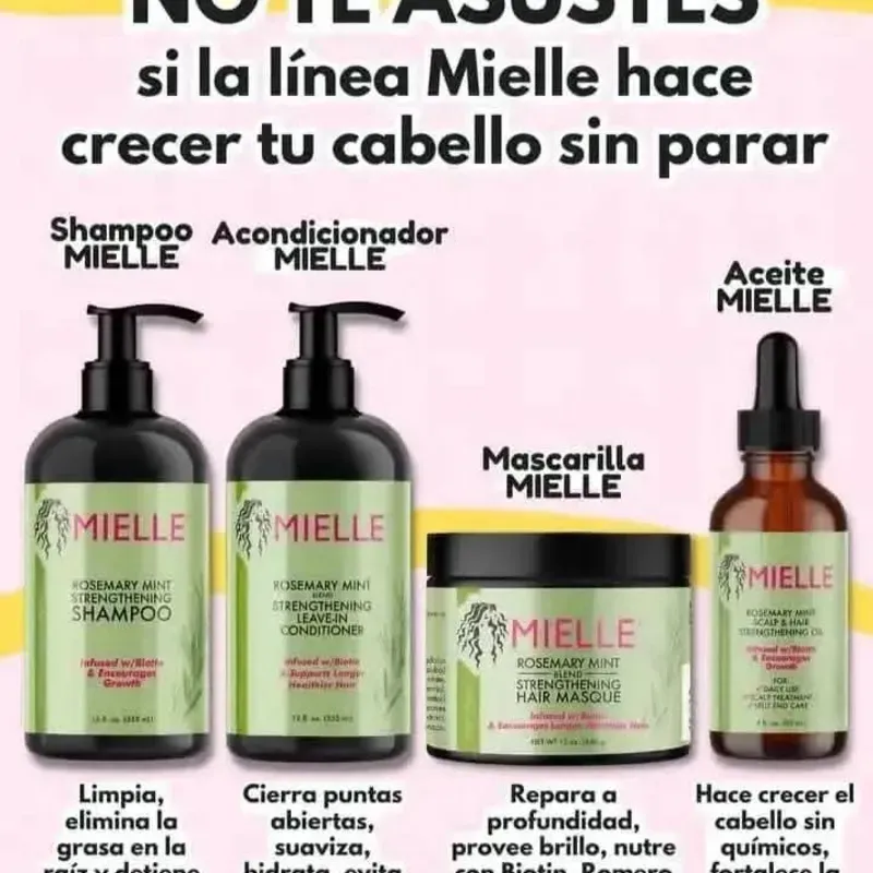 MIELLE Romero Mint Organics