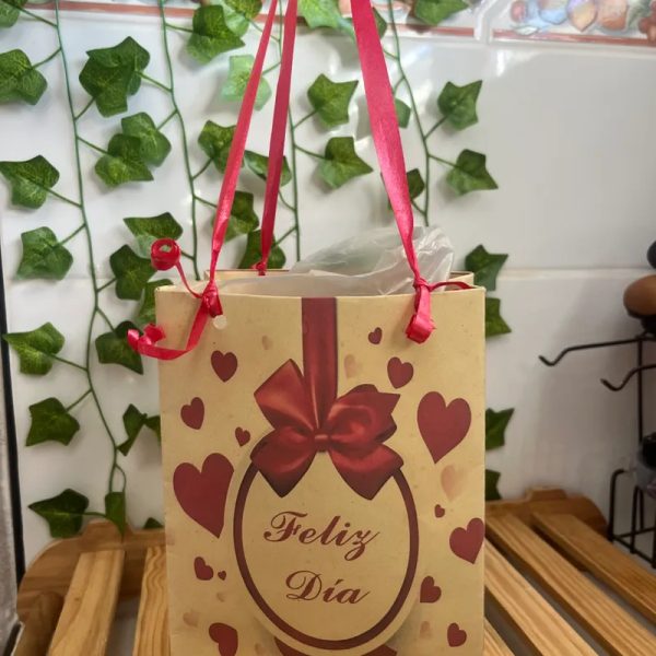 Bolsa de regalo