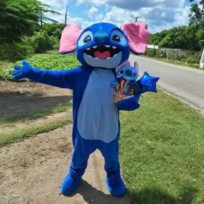 Stitch