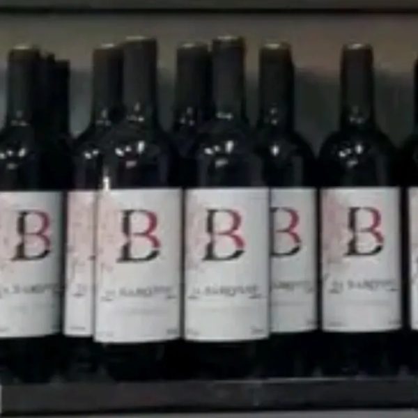 Vino