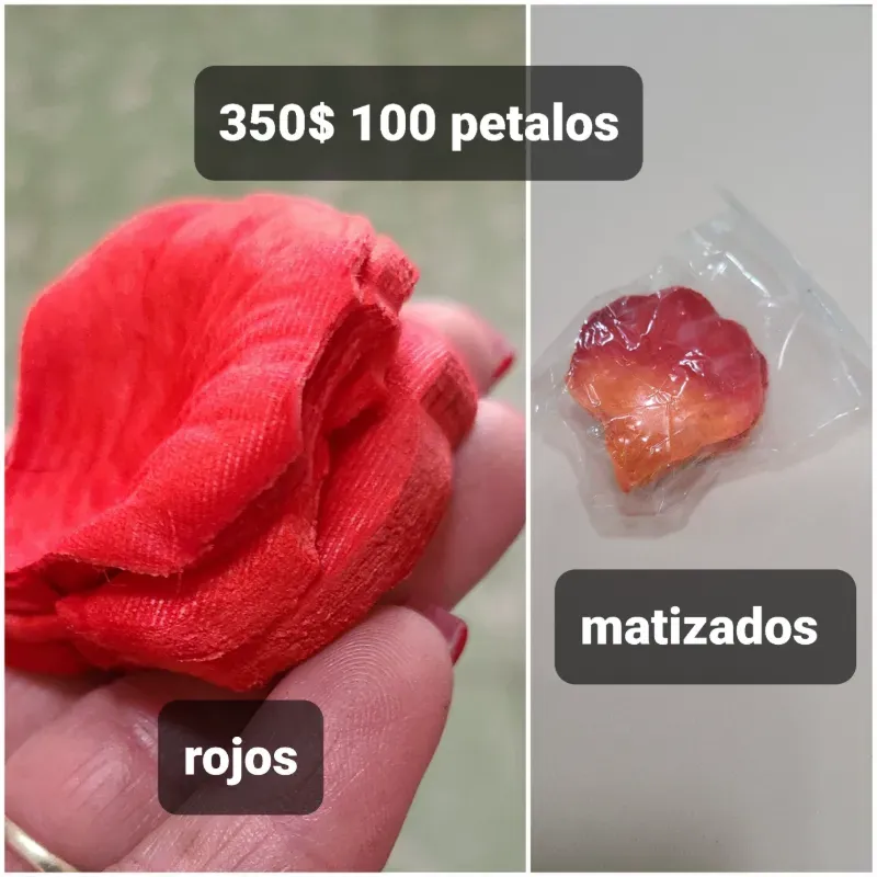 Petalos de rosa
